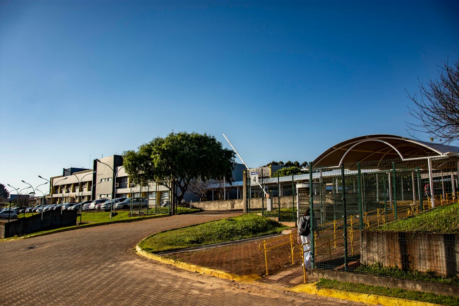 留学国际大学暑期学校的四大原因