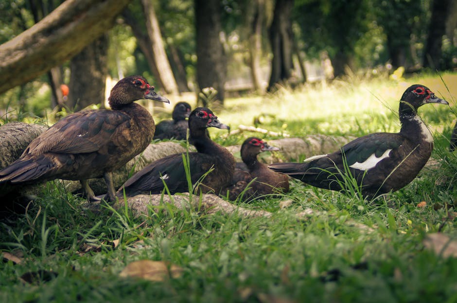 工程领域创新创业至关重要的4个原因