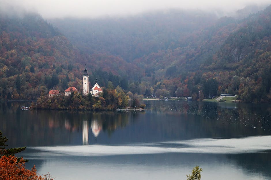 考虑在德克萨斯州奥斯汀学习专业硕士的5个理由