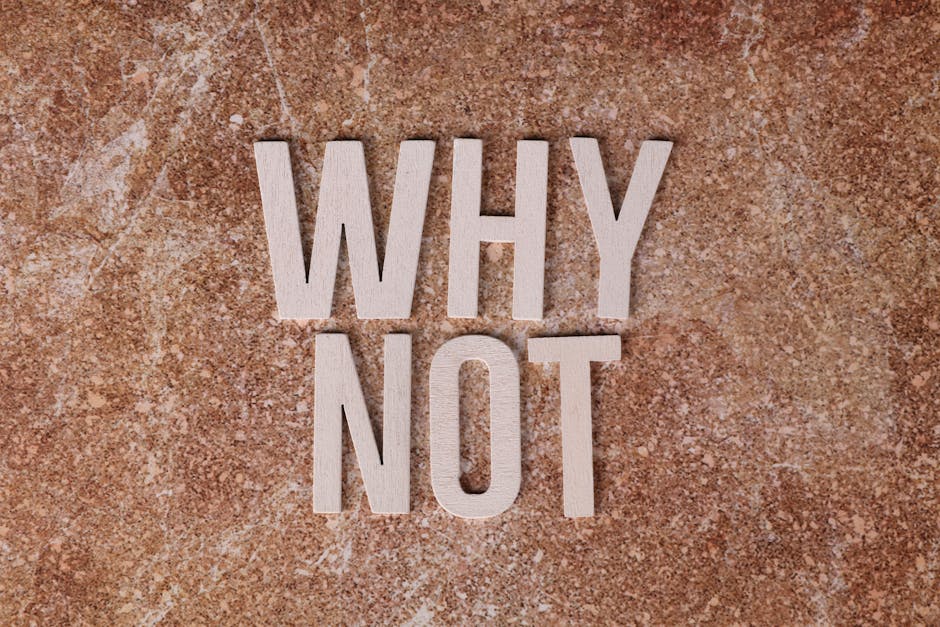 5 Reasons Why You Should Study an International Relations Master’s