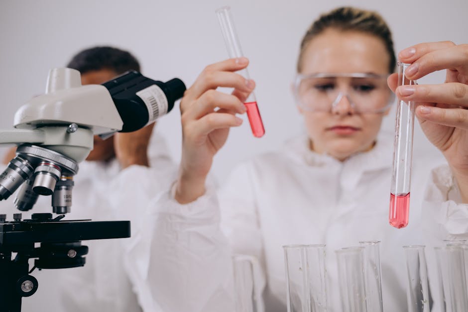 5个就业前景出色的STEM学位