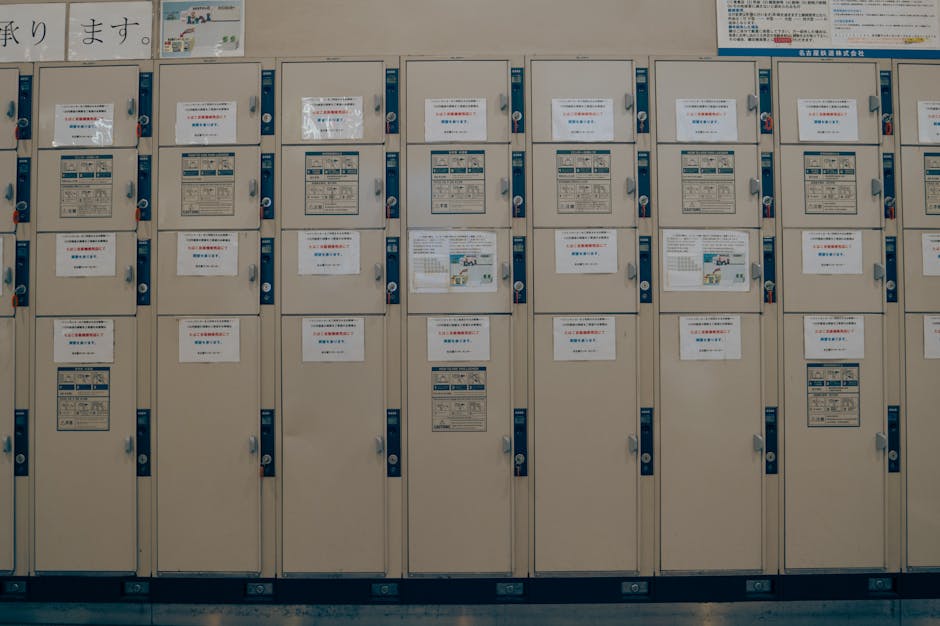 6个灵活的学生兼职