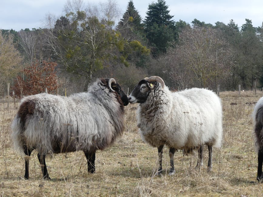 6 Reasons Why Students Are Looking to Study Abroad In Helsinki