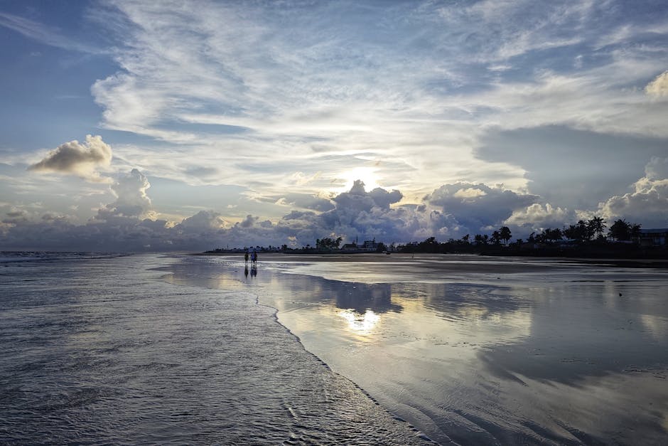 全球农学奖学金汇总