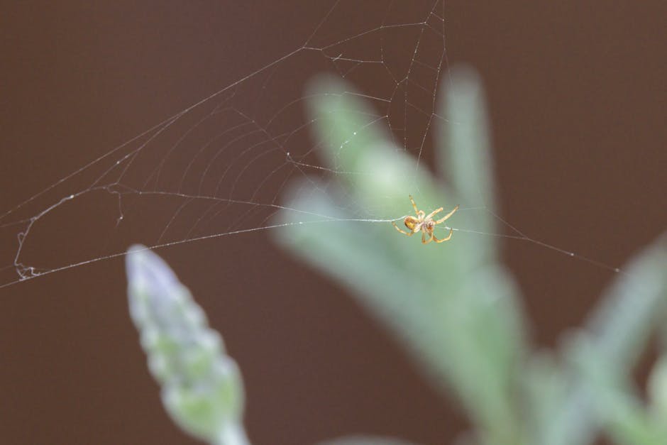 Australia's Group of Eight Launch 'Knowledge Gateway'