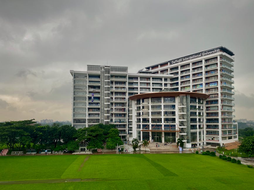 Best Six Sectors To Work In With A Degree In Area Studies