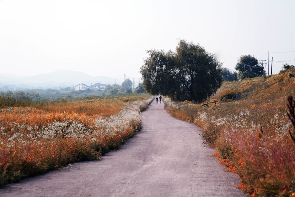 Canada: Ten Things To Do