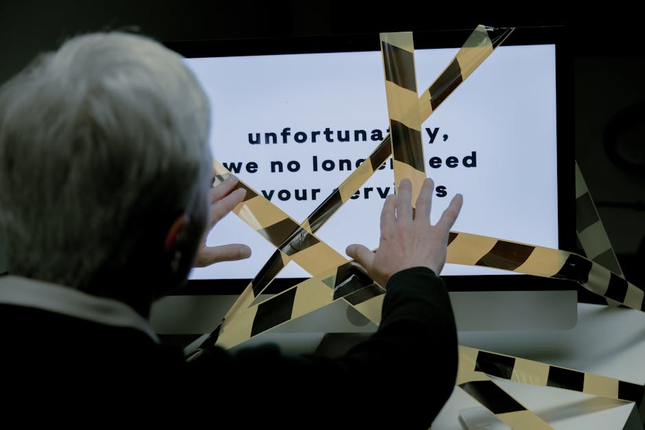 自由平面设计师的职业之路：毕业生专访