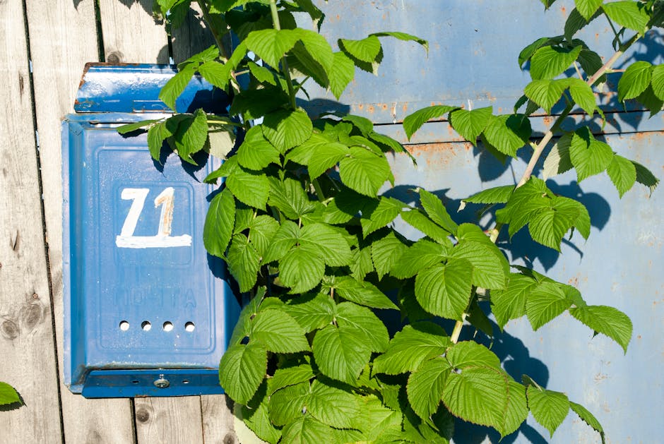 Daily Higher Education News: 17 January 2013