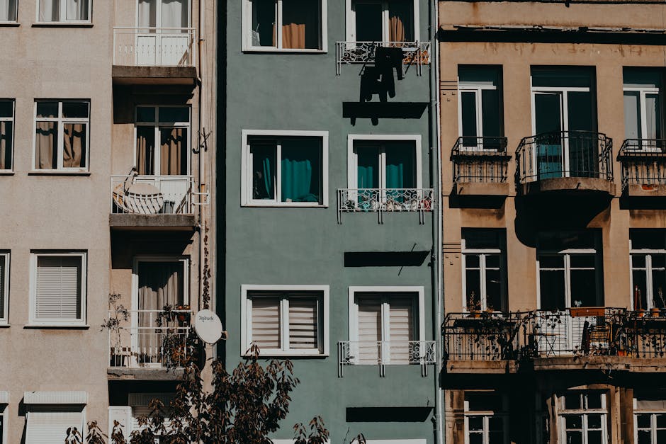 留学法国，租房必备小诀窍