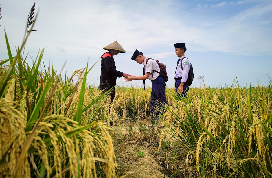 Five Reasons Agriculture Courses Are Trending Right Now