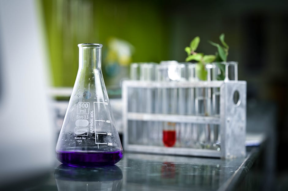 Graduate Study Destinations: Affordable Solutions