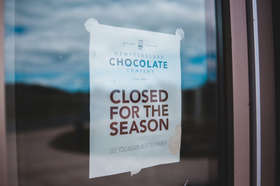 申请世界顶尖管理学硕士院校有多难？