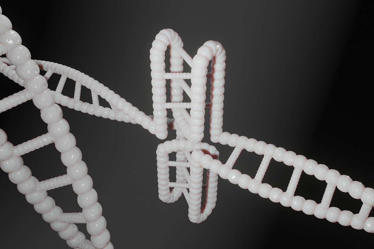 如何为生物医学科学与纳米科学职业做准备