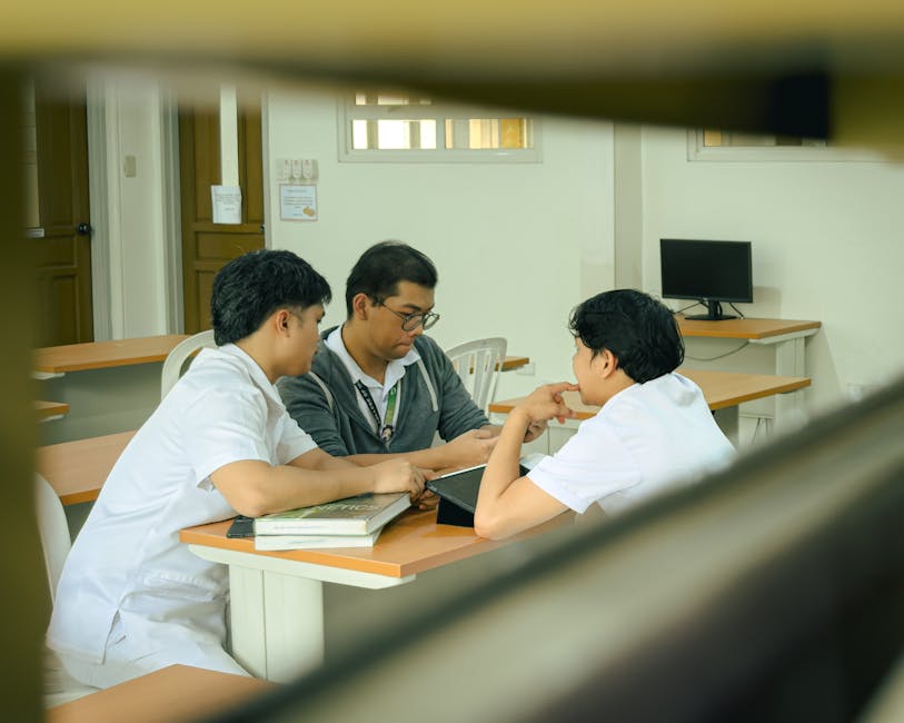 社会科学学位：你将从中收获什么