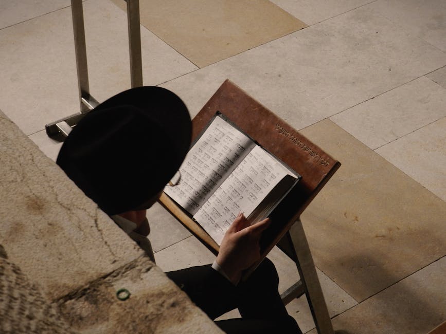 赴东欧留学国际奖学金指南