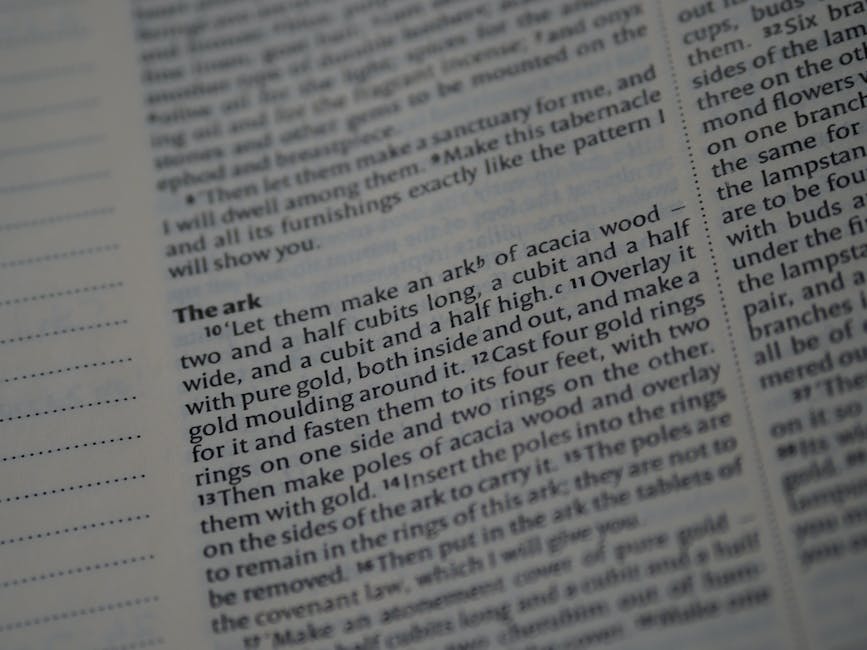 助力越南教育发展：香港教育大学的使命与实践