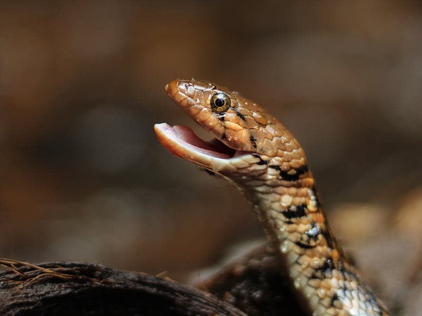 NUS Reveals Shocking Scale of Sexual Violence at UK Universities