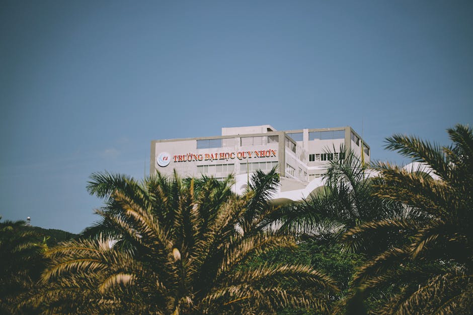 已发布：2019年QS世界大学排名