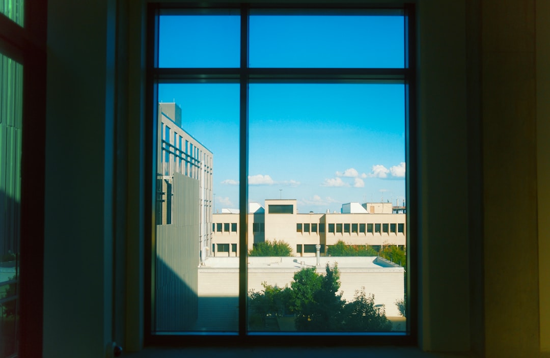 相同但不同：关于学生选择的新报告