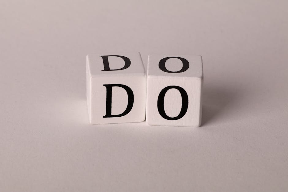 Student Survival: A Quick Guide