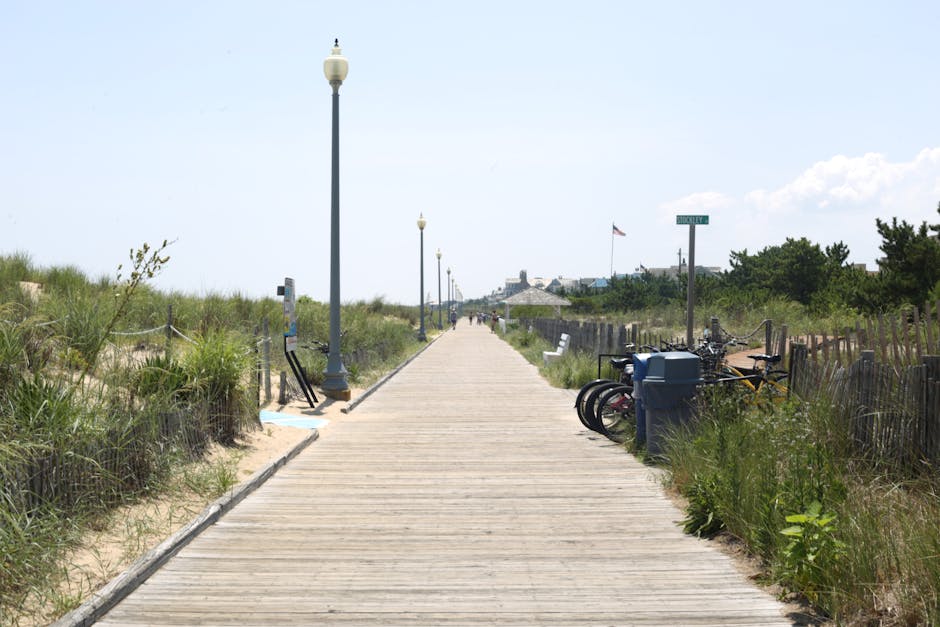 在特拉华州留学