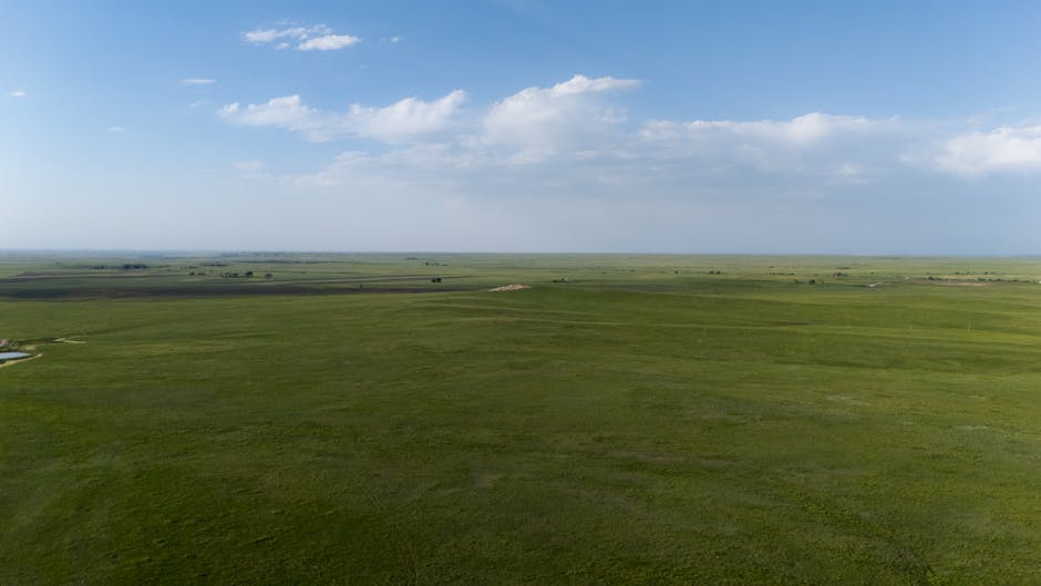 在内布拉斯加州留学