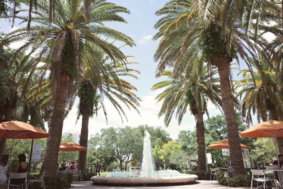 在南卡罗来纳州留学