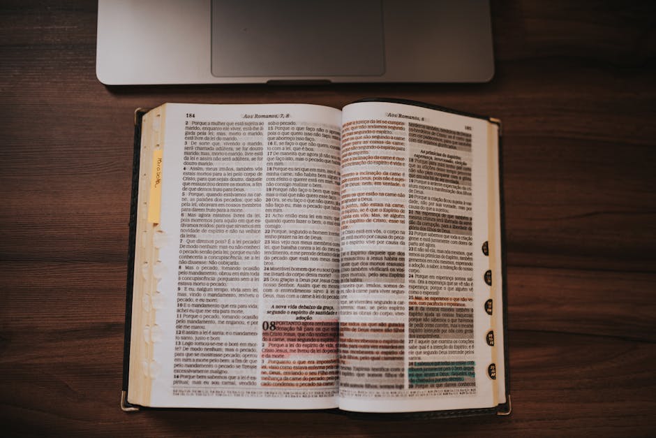 在德国攻读英语专业：一位留学生的故事