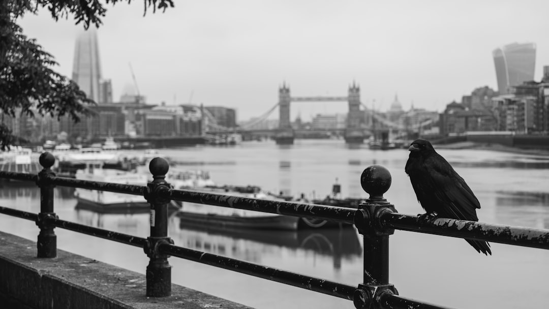 在英国留学：如何开始
