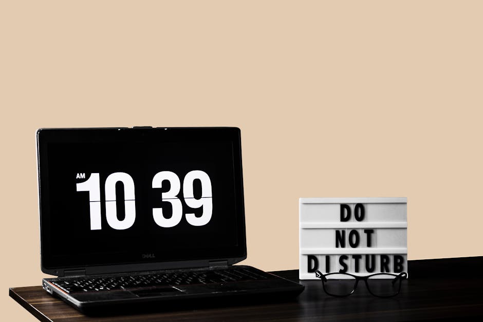 Top 10 Things to do in New Zealand