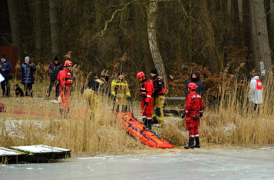Top 10 Universities in Emerging Europe & Central Asia 2019
