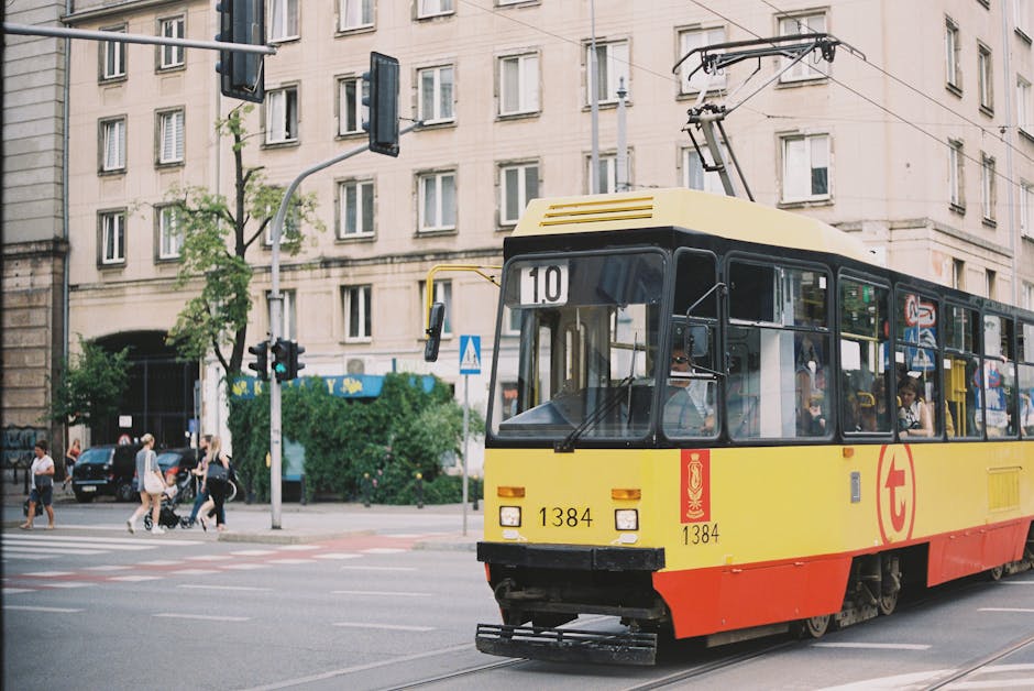 欧洲十大建校不足50年的顶尖大学