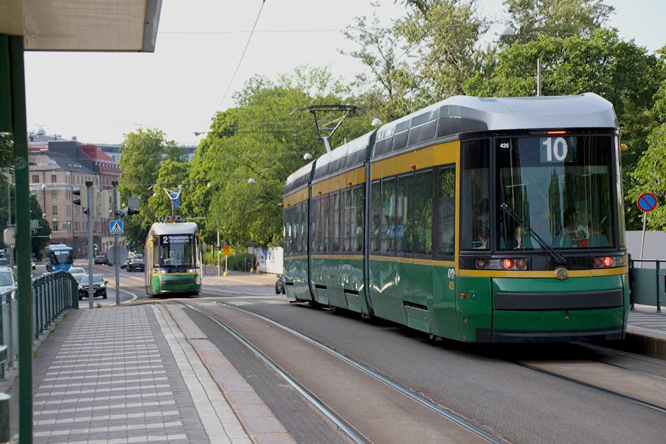 政治学与国际关系全球前十大学