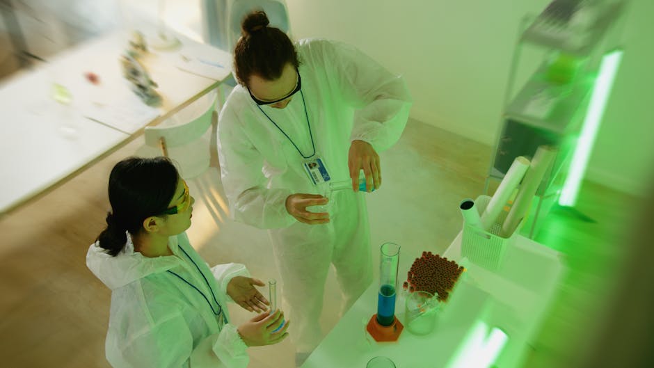 Top Chemical Engineering Schools in 2015