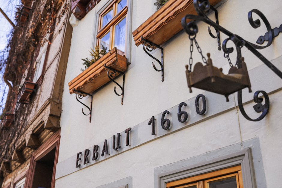 Top Dental Schools in 2016