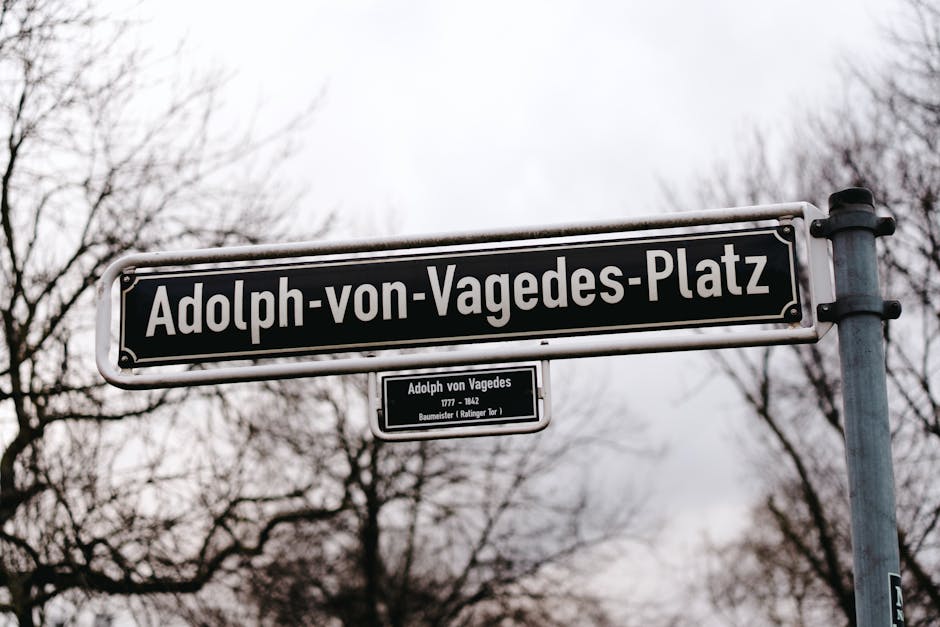 Top Dental Schools in 2017