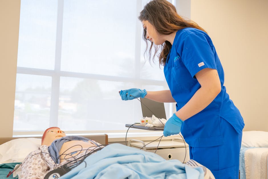 Top Nursing Schools in 2017