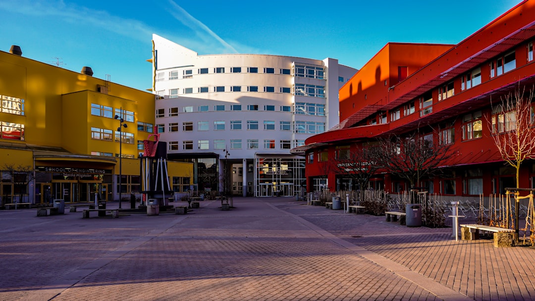 英国顶尖大学杯葛全国学生调查