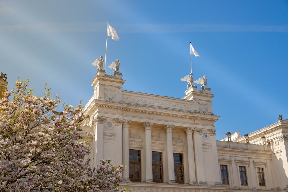 Top Universities in China