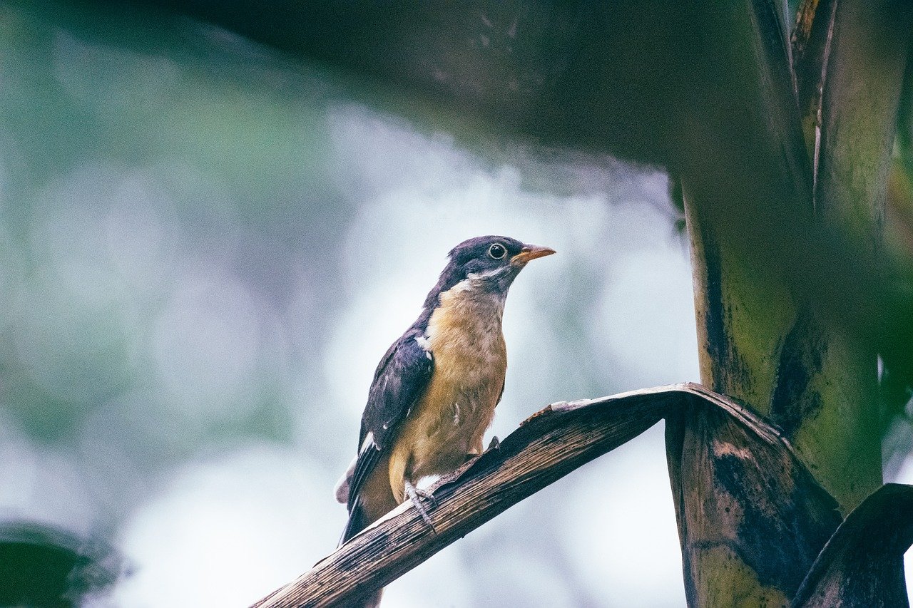 Top Universities in India 2019