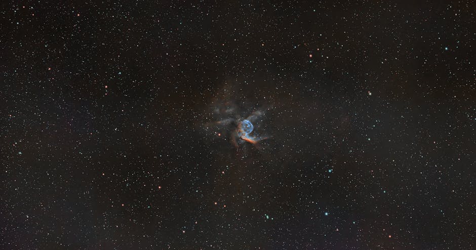 Top Universities for Veterinary Science in 2019