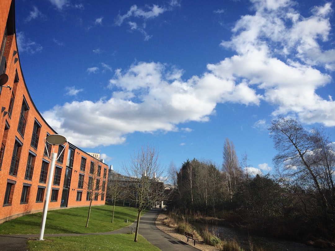 2017 年英国大选： 是年轻人赢得了大选吗？