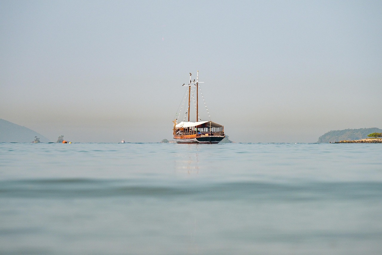 圣保罗大学与UNICAMP对比