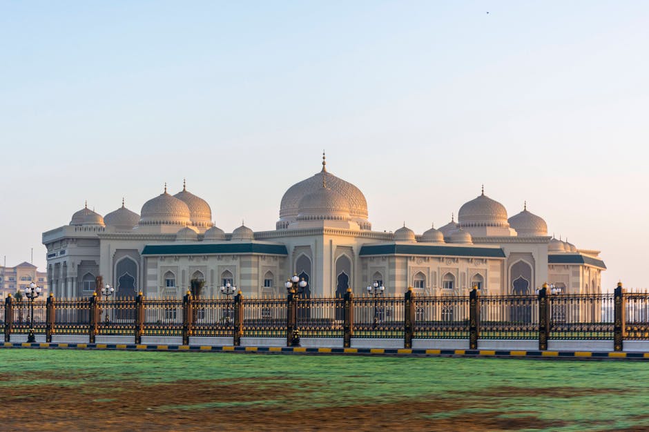 中东与北非大学：全新分类体系