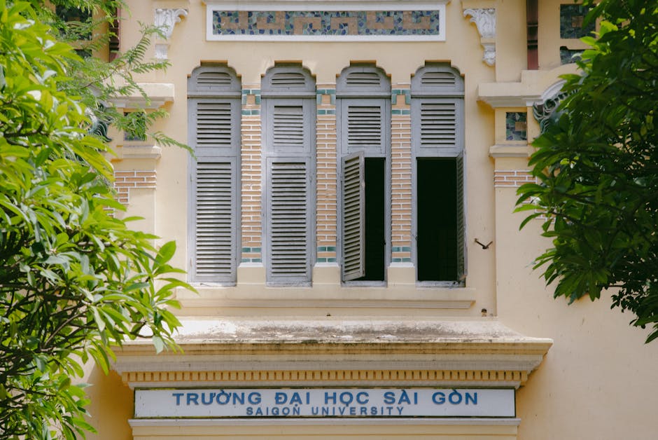 University Life Beyond the Classroom