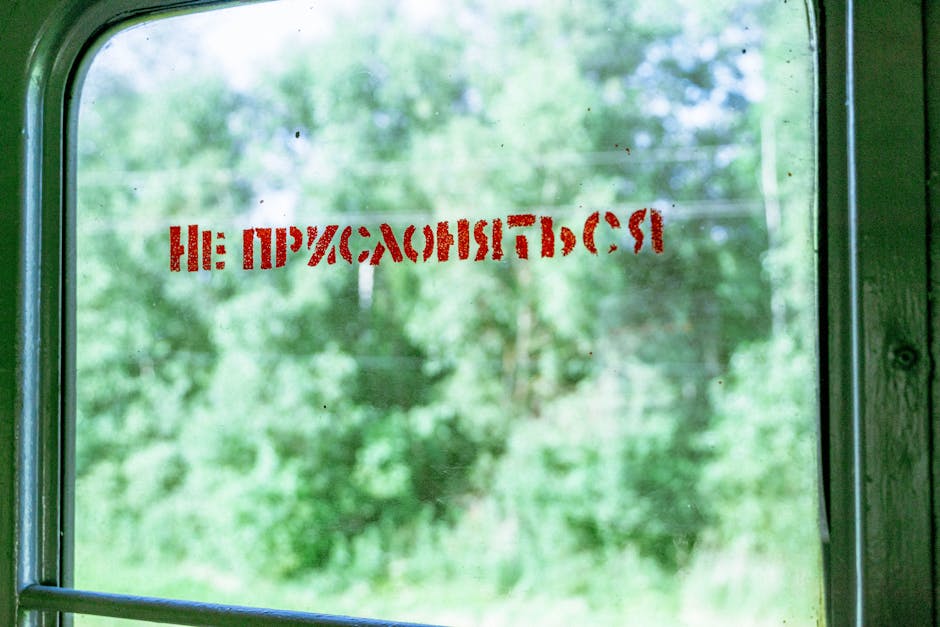 历史学学位能做什么？