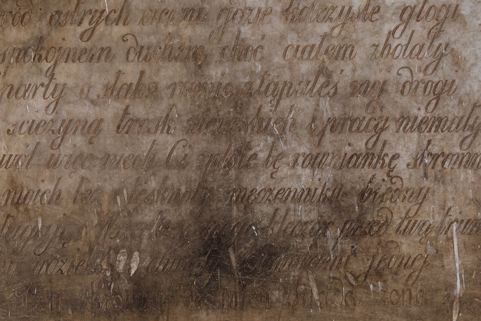 What to Expect from the Perth to Sydney Train