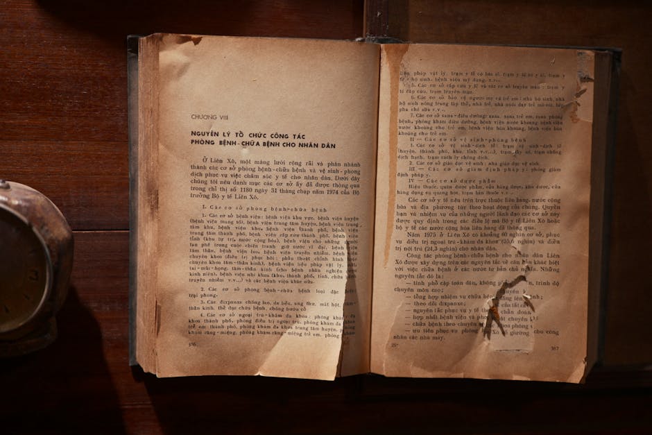 国际学生在瑞士留学的完整指南