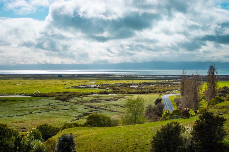 What to Expect When You Study in New Zealand